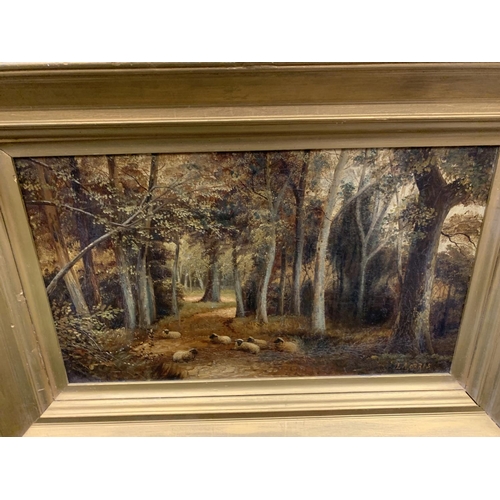 100 - A GILT FRAMED OIL PAINTING OF SHEEP IN A FOREST LANDSCAPE, SIGNED J.MORRIS, 47 X 68CM