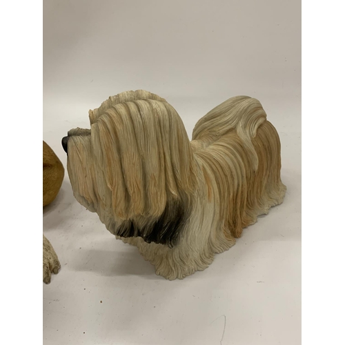 144 - TWO LARGE DOG FIGURES BY LEONARDO, A STAFFORDSHIRE BULL TERRIER HEIGHT 34CM AND A LHASA APSO HEIGHT ... 