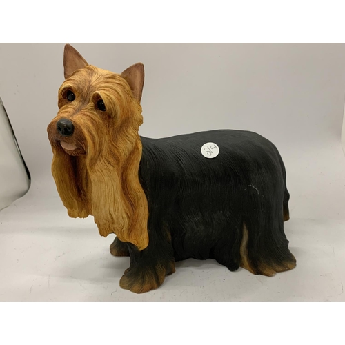 151 - A BORDER FINE ARTS FIRESIDE YORKSHIRE TERRIER DOG HEIGHT 26CM