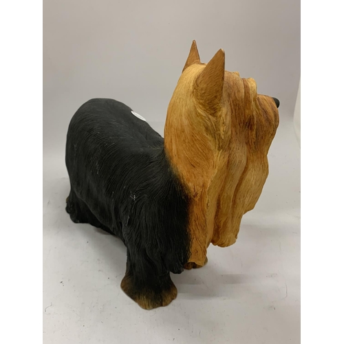 151 - A BORDER FINE ARTS FIRESIDE YORKSHIRE TERRIER DOG HEIGHT 26CM