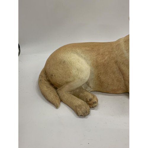 160 - A LARGE BORDER FINE ARTS FIRESIDE DOG LABRADOR LYING DOWN