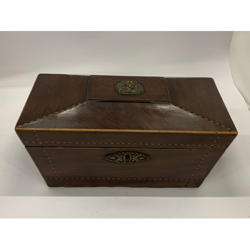 37 - A 19TH CENTURY MAHOGANY SARCOPHAGUS SHAPE TEA CADDY WITH INNER COMPARTMENTS AND GLASS VASE