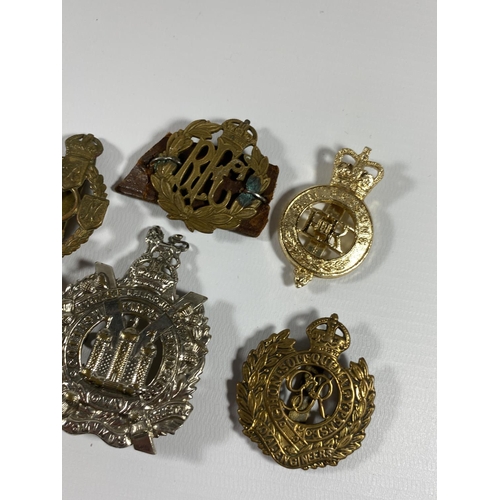 696 - A MIXED COLLECTION OF VINTAGE MILITARY CAP BADGES