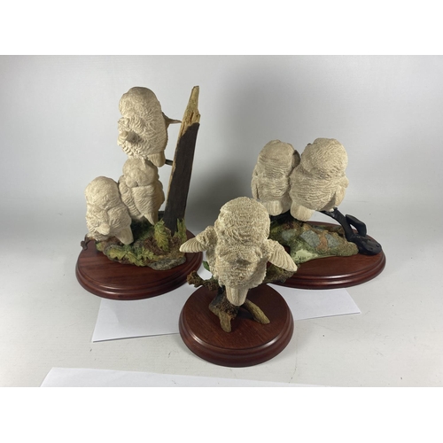 720 - THREE LARGE BORDER FINE ARTS FIGURES ON PLINTHS TO INCLUDE TRIPLE TAWNY OWLETS, DOUBLE TAWNY OWLETS ... 