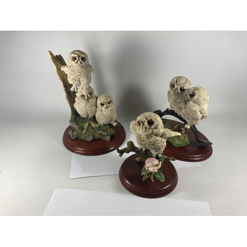 720 - THREE LARGE BORDER FINE ARTS FIGURES ON PLINTHS TO INCLUDE TRIPLE TAWNY OWLETS, DOUBLE TAWNY OWLETS ... 