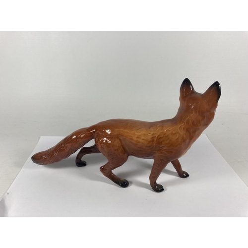 722 - A BEWSICK FOX