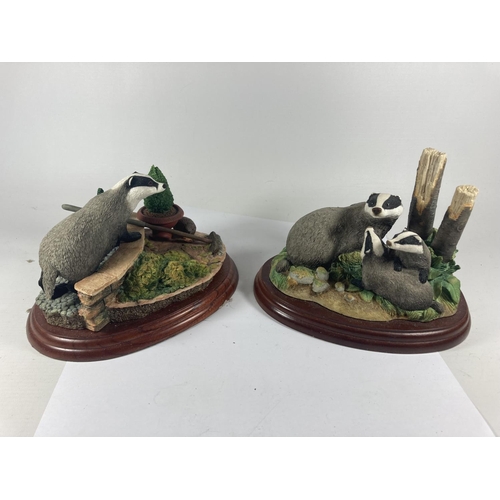 732 - TWO BORDER FINE ART BADGER FIGURES ON PLINTHS TO INCLUDE BADGER AND YOUNG AND GARDEN INTRUDER