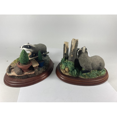 732 - TWO BORDER FINE ART BADGER FIGURES ON PLINTHS TO INCLUDE BADGER AND YOUNG AND GARDEN INTRUDER