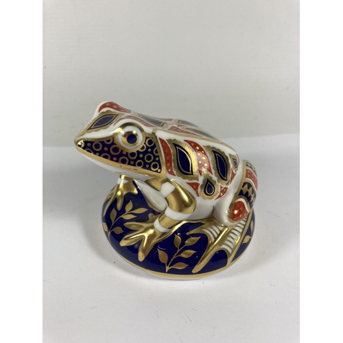 738 - A ROYAL CROWN DERBY IMARI FROG PAPERWEIGHT, NO STOPPER