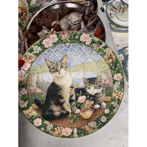 1163 - A COLLECTION OF CAT RELATED CABINET/WALL PLATES TO INCLUDE ROYAL DOULTON LESLEY ANNE IVORY - 11 IN T... 