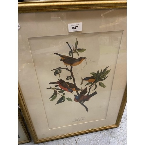 847 - TWO GILT FRAMED PRINTS TO INCLUDE AN ORIENTAL EXAMPLE AND 'PAINTED FINCHES'