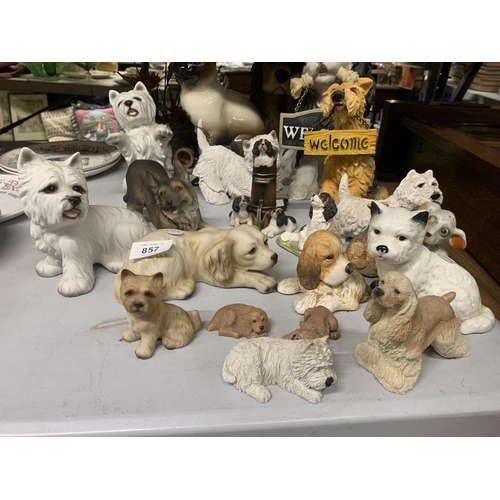 857 - A LARGE QUANTITY OF MAINLY DOG FIGURES AND ONE SIAMESE CAT