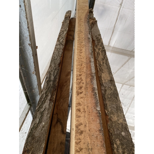 2031 - FOUR LENGTHS OF ROUGH SAWN BEECH (APPROX L:316CM)