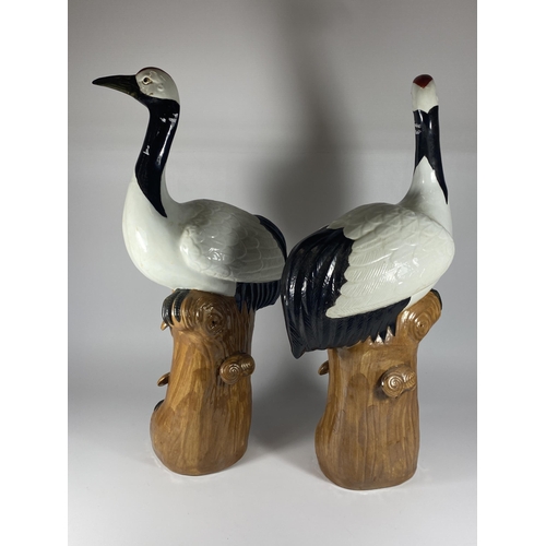 486 - A LARGE PAIR OF EARLY 20TH CENTURY CHINESE WATER CRANE MODELS, HEIGHT 51CM