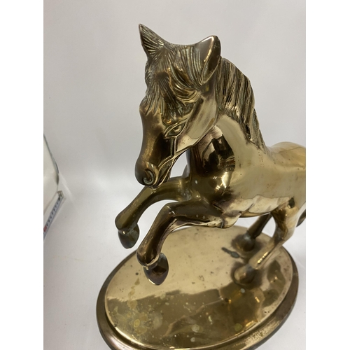 102 - A LARGE BRASS MODEL OF A REARING HORSE, HEIGHT 37CM