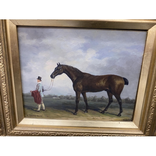 118 - A GILT FRAMED OIL PAINTING OF A RACEHORSE, SIGNED C.HARRISON, 35 X 41CM