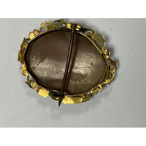 503 - A 9CT GOLD MOUNTED CAMEO BROOCH