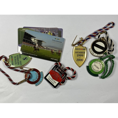 612 - SIX CHELTENHAM RACECOURSE BADGES