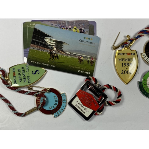 612 - SIX CHELTENHAM RACECOURSE BADGES