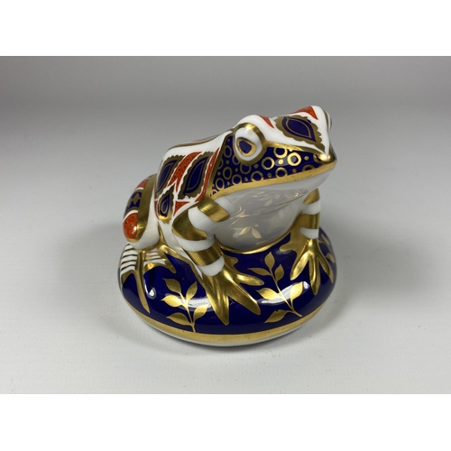 831 - A ROYAL CROWN DERBY IMARI FROG PAPERWEIGHT, NO STOPPER