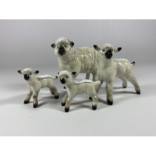 858 - A SET OF FOUR BESWICK LAMB FIGURES