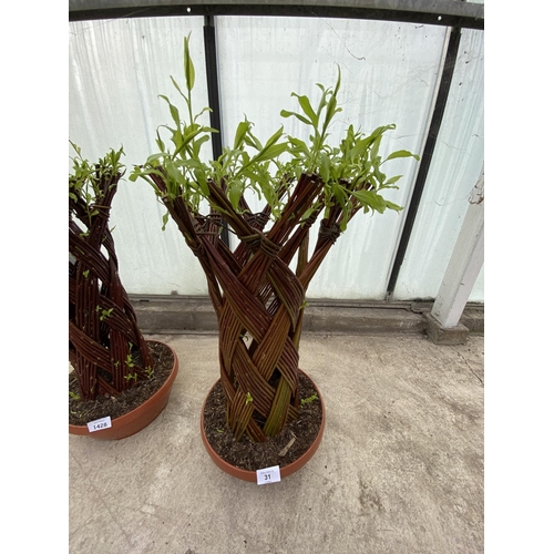 31 - TWO WEAVED SALIX + VAT