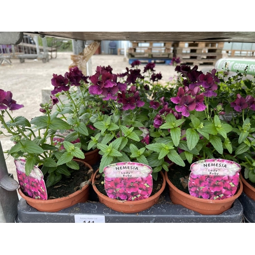 141 - THIRTY POTTED BASKET PLANTS TO INCLUDE NEMESIA LADY RUBY AND DIASCIA DIAMOND LIGHT PINK + VAT