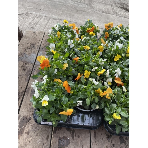 200 - SIXTEEN POTS OF MIXED COLOUR VIOLAS + VAT