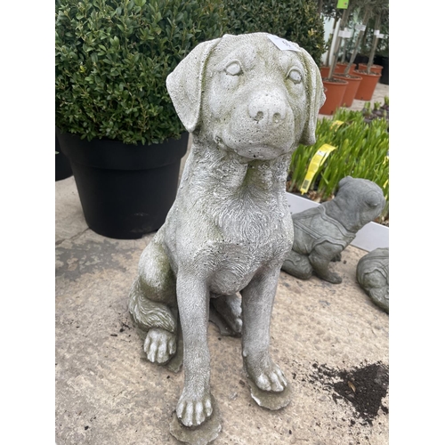 55 - A CONCRETE ORNAMENT OF A LABRADOR NO VAT