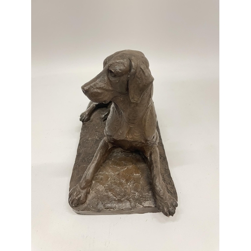 13 - A DORIS LINDNER BRONZED RESIN MODEL OF A SEATED DOG, SIGNED TO REVERSE, LENGTH 20CM