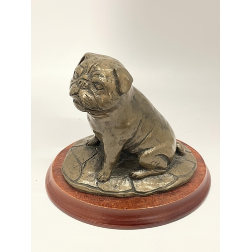 19 - A DOUGLAS GRAY BRONZE EFFECT MODEL OF A PUG ON WOODEN BASE, SIGNED TO REVERSE