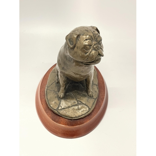 19 - A DOUGLAS GRAY BRONZE EFFECT MODEL OF A PUG ON WOODEN BASE, SIGNED TO REVERSE