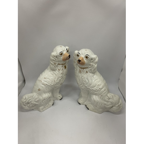 24 - A PAIR OF EARLY 20TH CENTURY STAFFORDSHIRE POTTERY SPANIELS, HEIGHT 33CM