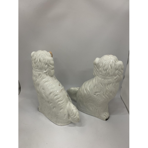 24 - A PAIR OF EARLY 20TH CENTURY STAFFORDSHIRE POTTERY SPANIELS, HEIGHT 33CM