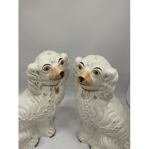 24 - A PAIR OF EARLY 20TH CENTURY STAFFORDSHIRE POTTERY SPANIELS, HEIGHT 33CM