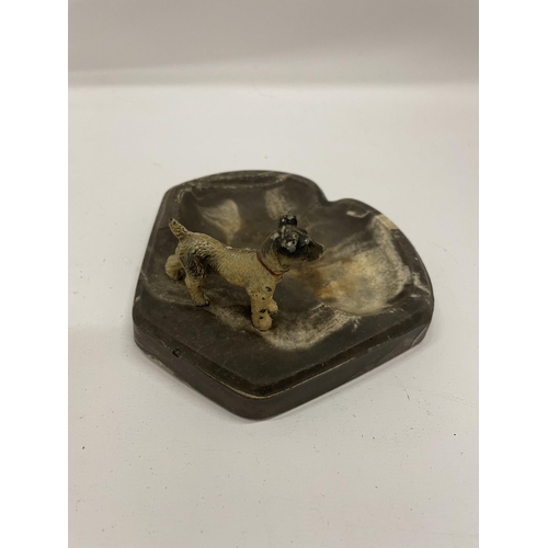 8 - AN AUSTRIAN COLD PAINTED BRONZE MODEL OF A TERRIER IN THE FORM OF AN ASHTRAY