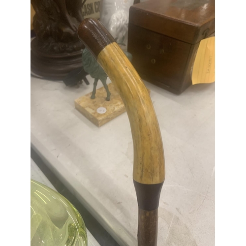 126 - A HORN HANDLED WALKING STICK