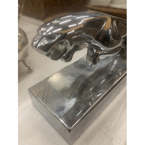 145 - A CHROME MODEL OF A JAGUAR CAR MASCOT