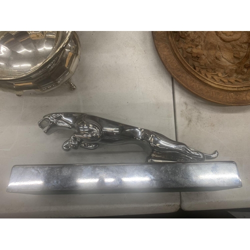 145 - A CHROME MODEL OF A JAGUAR CAR MASCOT