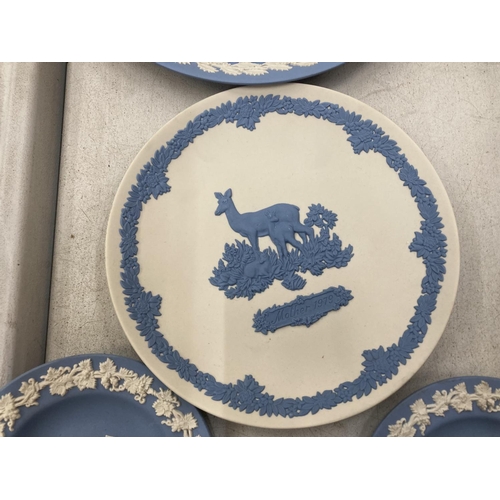 243 - A QUANTITY OF WEDGWOOD JASPERWARE TO INCLUDE A WHITE PLATE WITH A BLUE DEER DECORATION, VASE, PIN TR... 