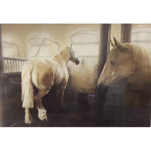 120A - A MIKE BURR PENCIL SIGNED LIMITED EDITION HORSE PRINT - 'SILENT RAPPORT'