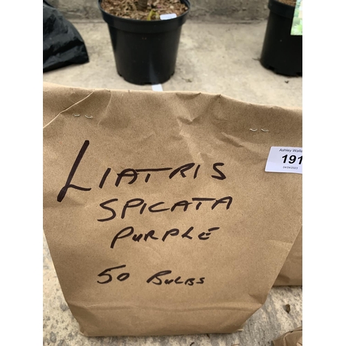 191 - FIFTY LIATRIS SPICATA PURPLE BULBS + VAT