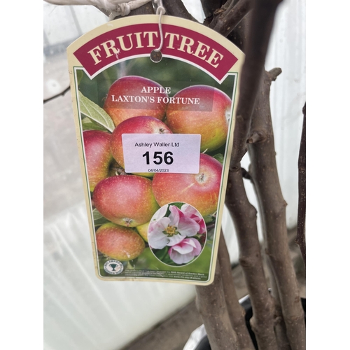 156 - FIVE BAREROOT APPLE TREES - LAXTONS FORTUNE NO VAT