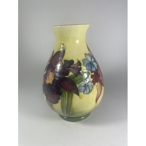 703 - A WALTER MOORCROFT FLORAL ORCHID PATTERN BALUSTER VASE ON YELLOW GROUND (SOME CRAZING)