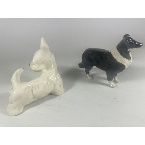 725 - TWO BESWICK DOGS - COLLIE AND SCOTTIE DOG