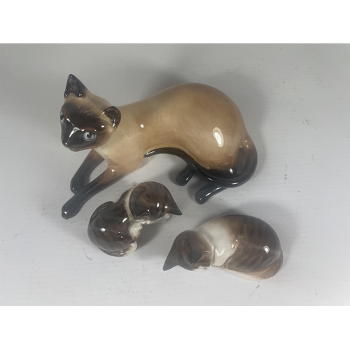 726 - THREE ROYAL DOULTON CATS TO INCLUDE SIAMESE HN2662 (SECONDS)