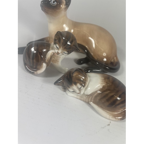 726 - THREE ROYAL DOULTON CATS TO INCLUDE SIAMESE HN2662 (SECONDS)