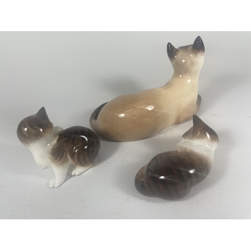 726 - THREE ROYAL DOULTON CATS TO INCLUDE SIAMESE HN2662 (SECONDS)