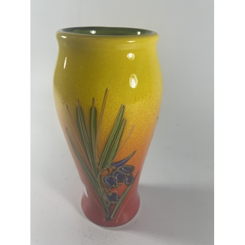 750 - AN ANITA HARRIS HAND PAINTED AND SIGNED VASE - BLUEBELLS