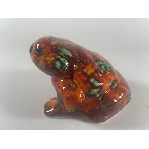 753 - AN ANITA HARRIS HAND PAINTED AND SIGNED TOAD